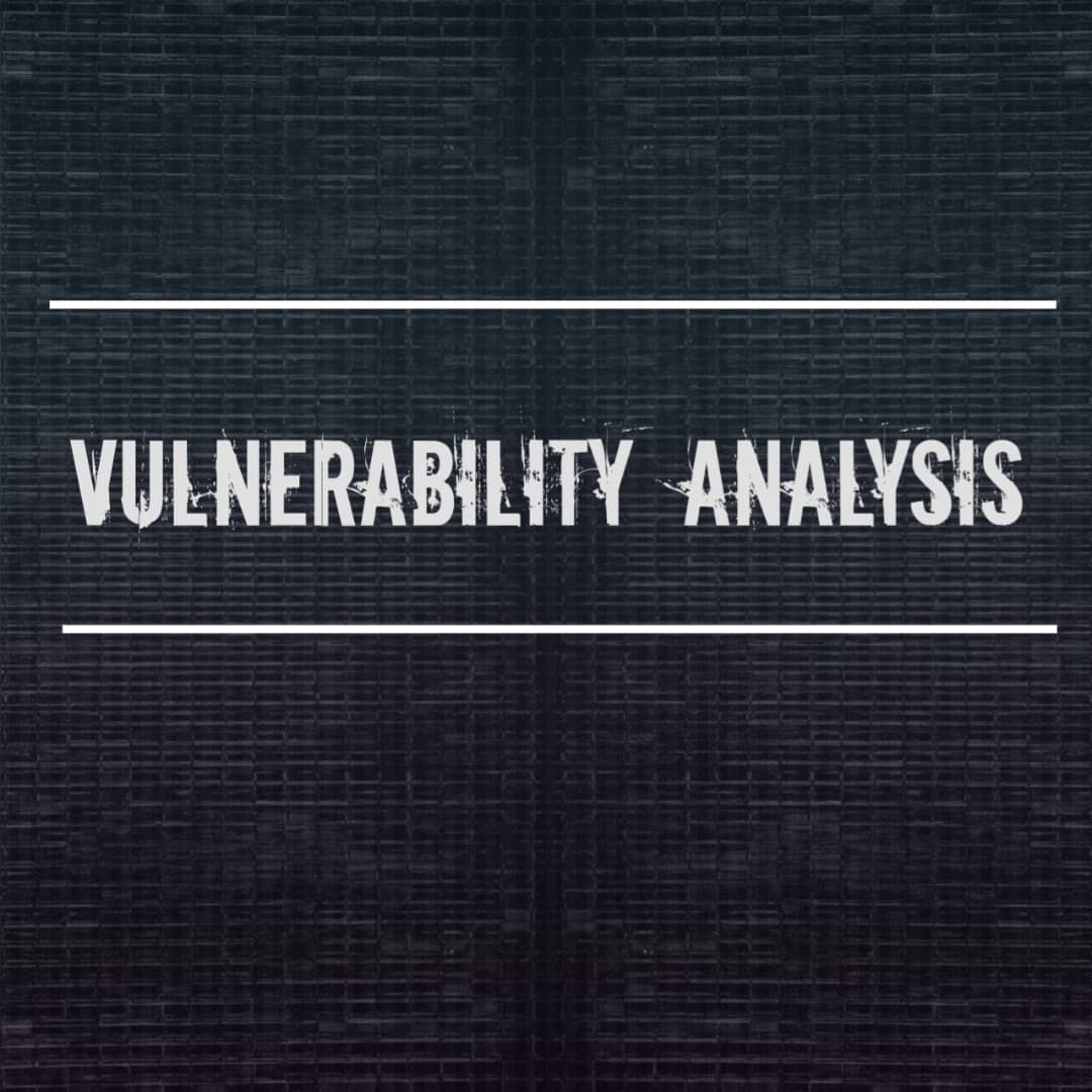 VULNERABILITY ANALYSIS