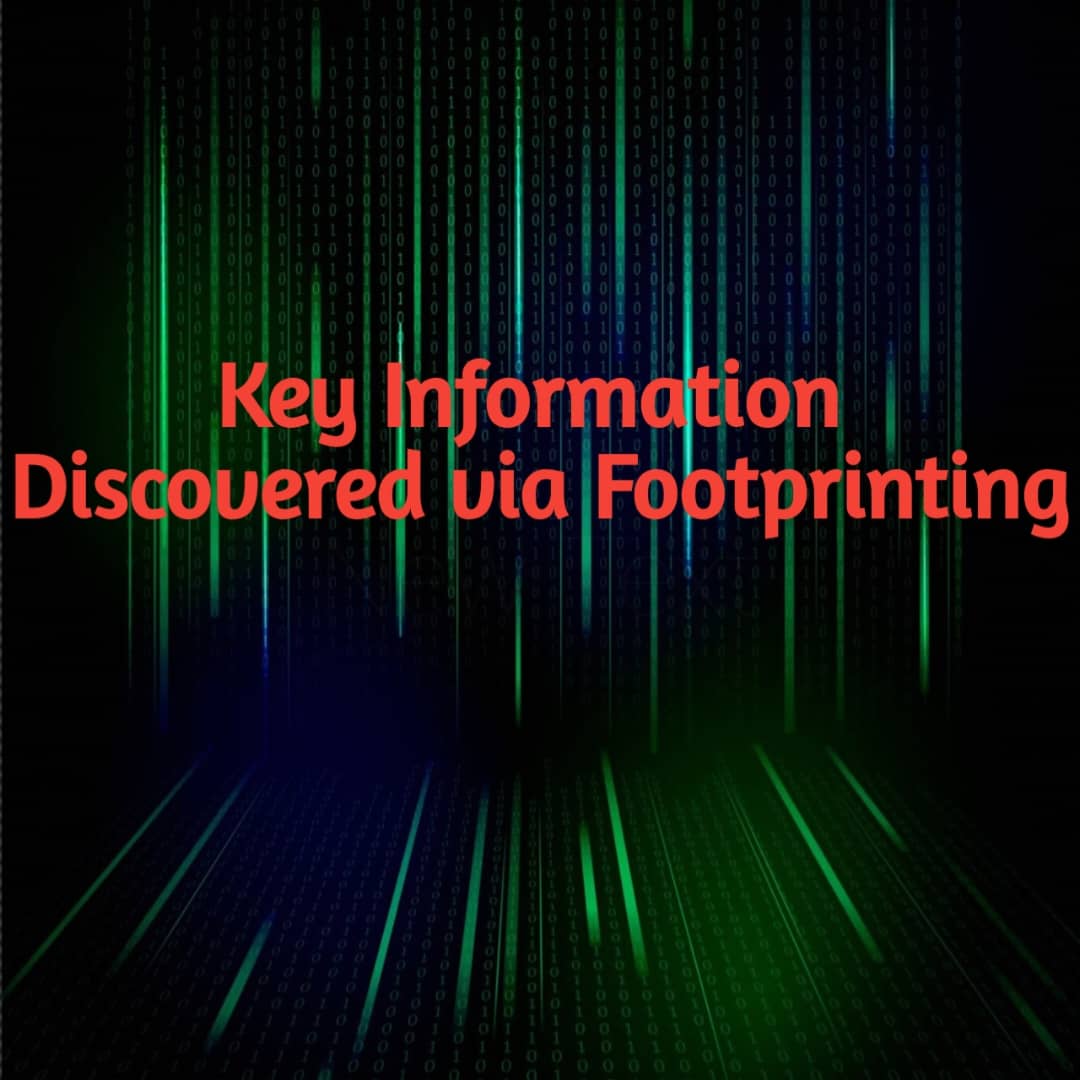 Key Information Discovered via Footprinting